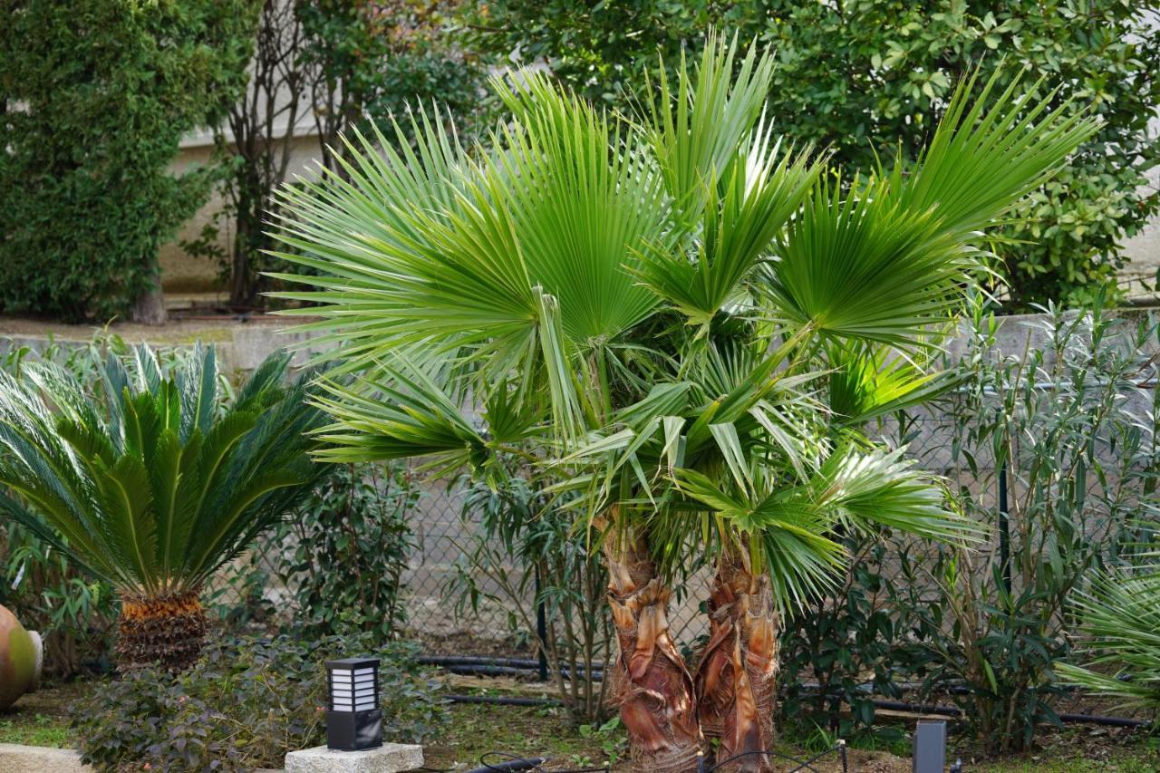 Villa Les Cades Sainte-Maxime Luaran gambar